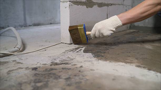 24/7 Emergency Crawl Space Encapsulation experts in Paris, MI